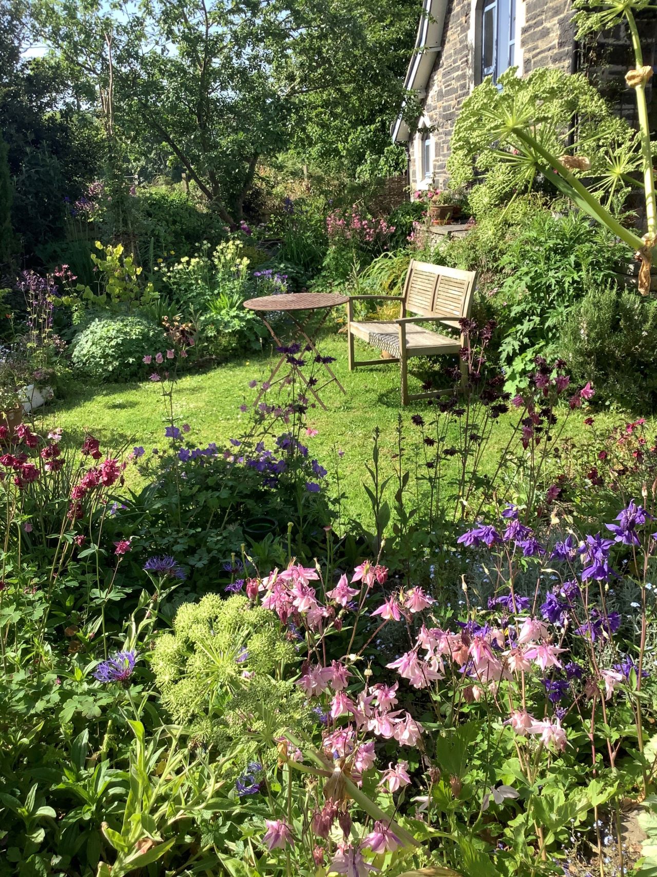 NW Cottage Garden Society – Trish Garden website version